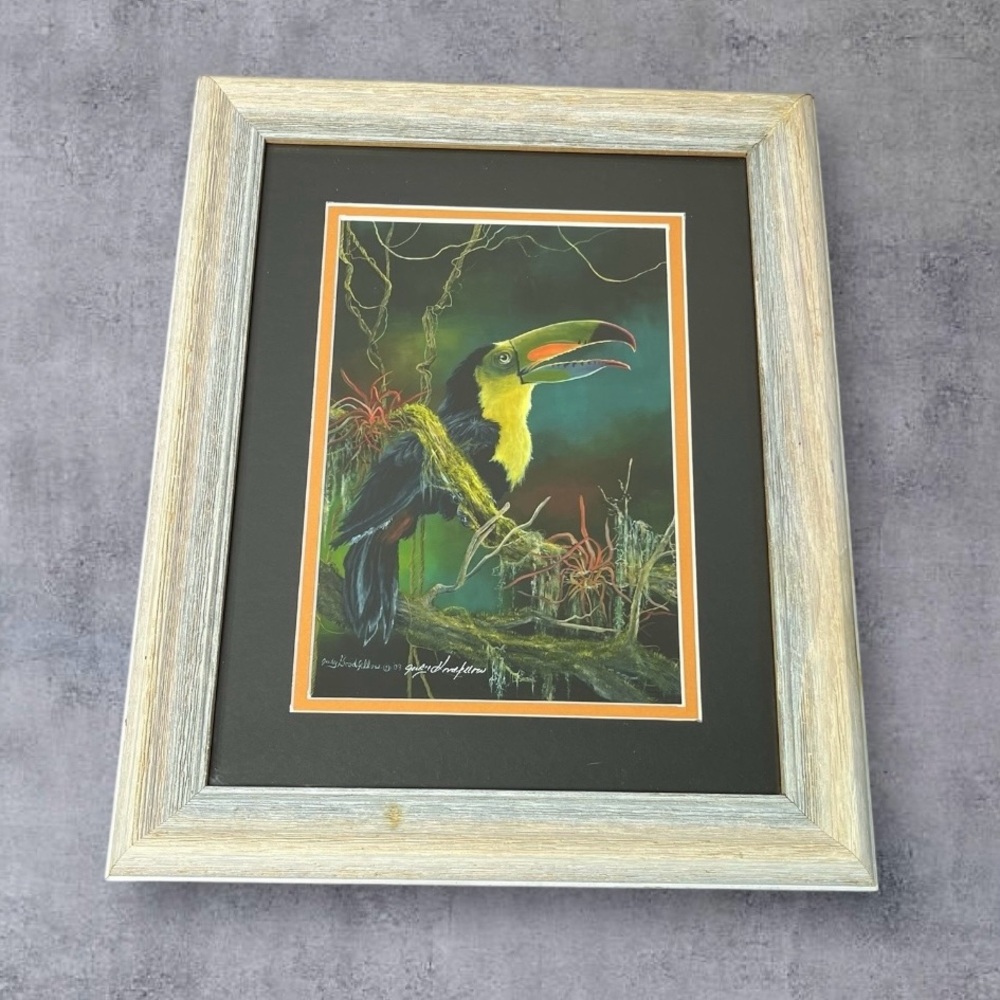 Originals In Oil Toucan Print‎ By Judy Goodfellow Signed Framed 15.5" x 12.5"